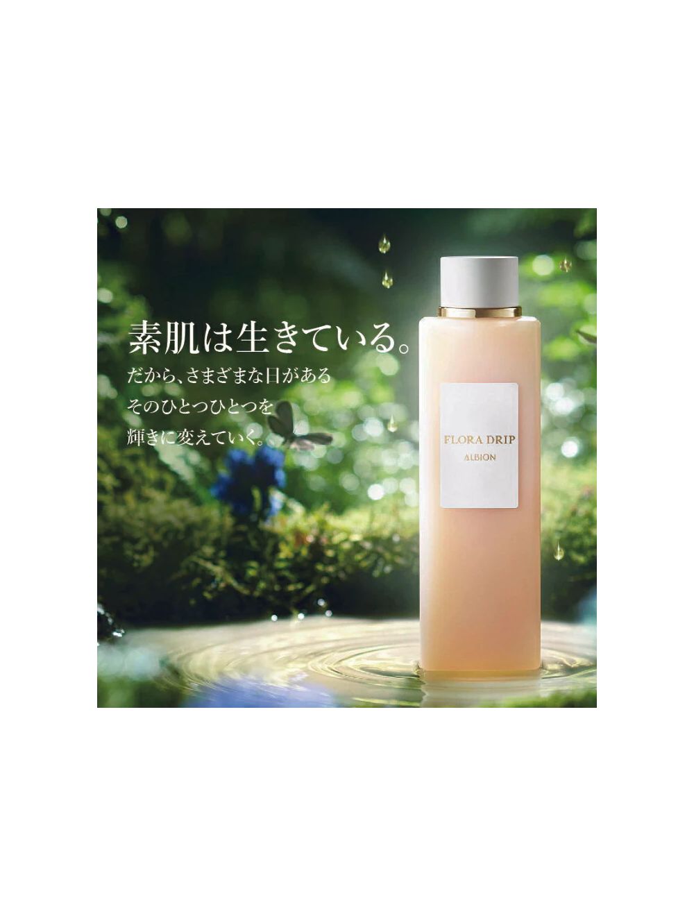 春早割 Shop Japanese Albion | Online Makeup and Skincare Korean and 化粧水・ローション・トナー