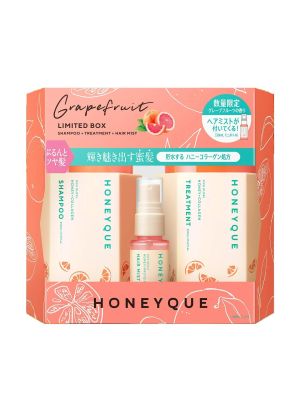 Honeyque Rich Gloss Honey Collagen Set