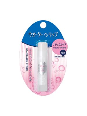 SHISEIDO FT WATER IN LIP WATER IN LIP NO FRAGRANCE